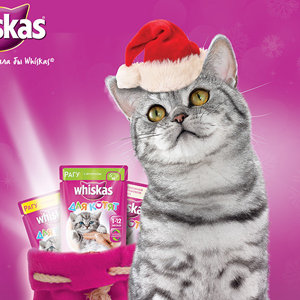 Бренд whiskas. Разработка новогоднего оформления мест продаж корма для кошек. Новогодние котята